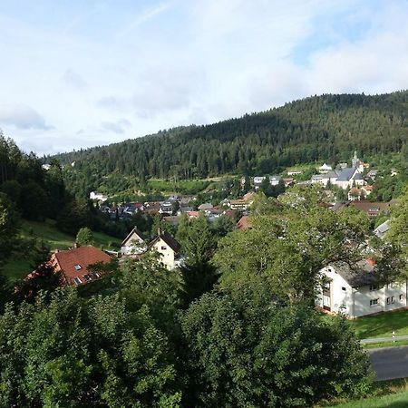 Zum Schwalbennest Apartment Todtmoos Exterior photo